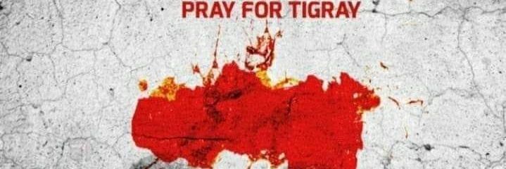 Tigray Update banner