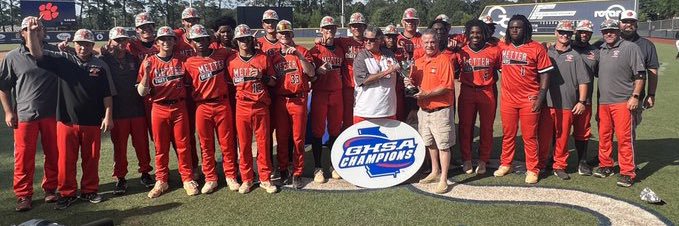 Metter Tiger Baseball banner