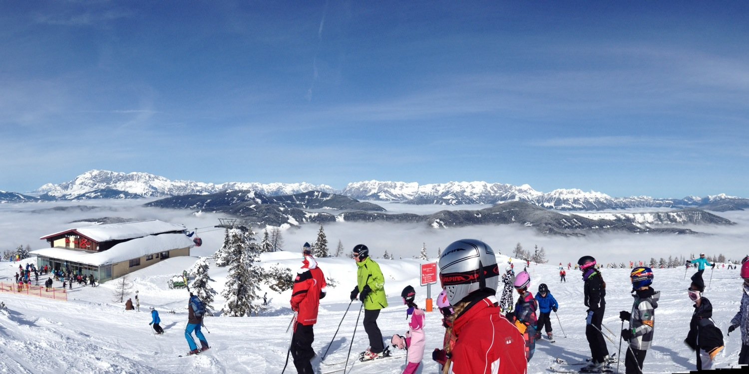 Adam Mitchell banner