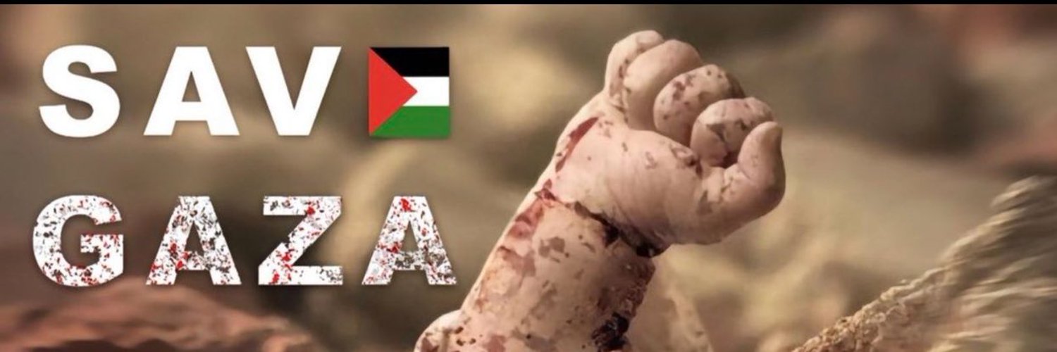 Áine Walsh 🇮🇪🇵🇸 banner