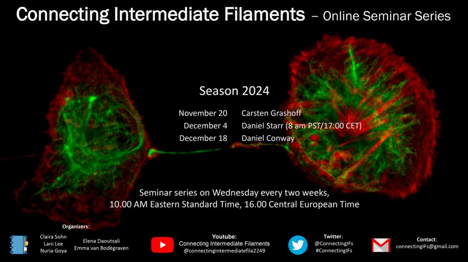 Connecting Intermediate Filaments Seminars banner