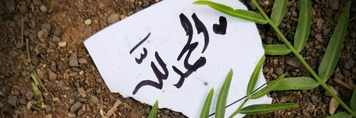 HopeToSeeYou5's profile banner image