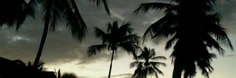 walda_wal's profile banner image