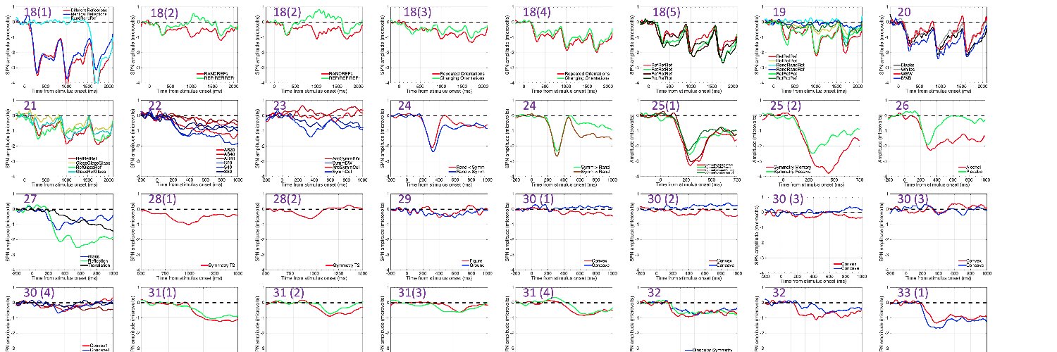 ShapeAndSymmetryLab@Liverpool banner