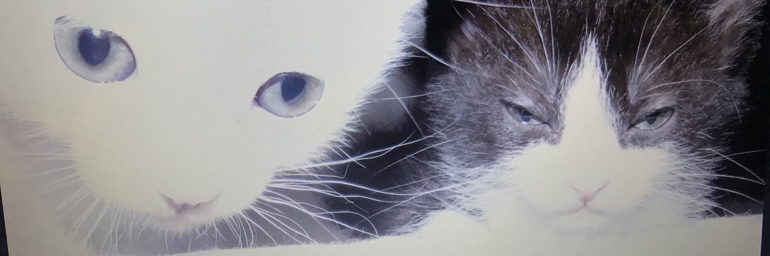 bynesty99's profile banner image