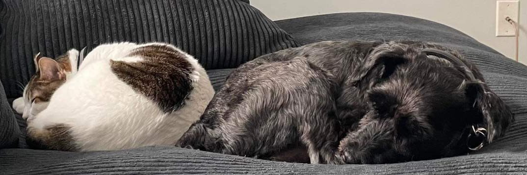 Dr. Takiwātanga (Doc Nayo) banner