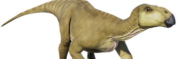 Skrunkly 🦖 banner