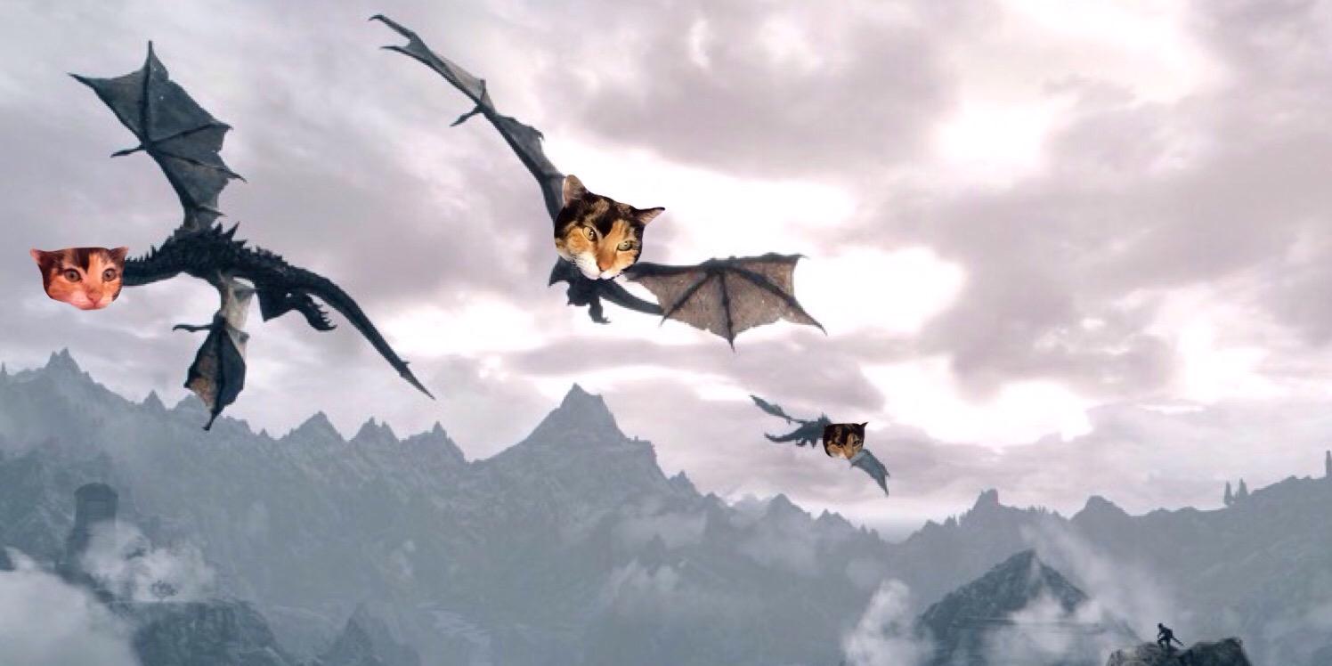 CaamilaLP's profile banner image