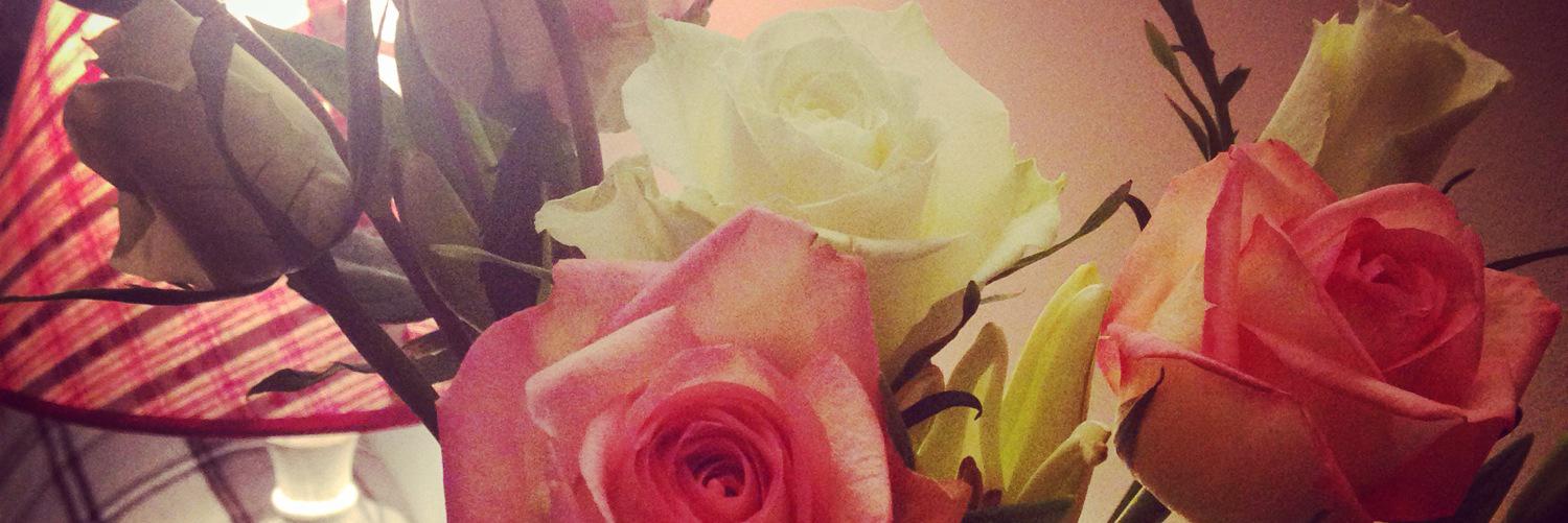 Vidya Santharam banner