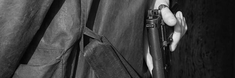 best of villaneve banner