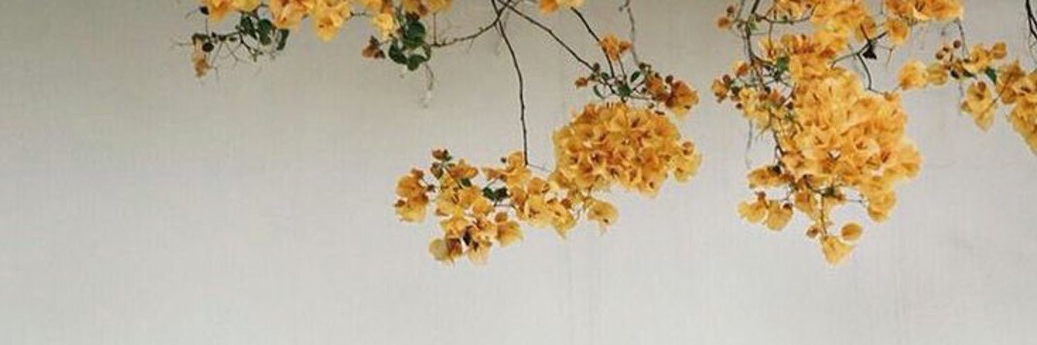 besho2074's profile banner image