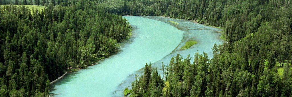 Doug Kuular (Куулар) banner