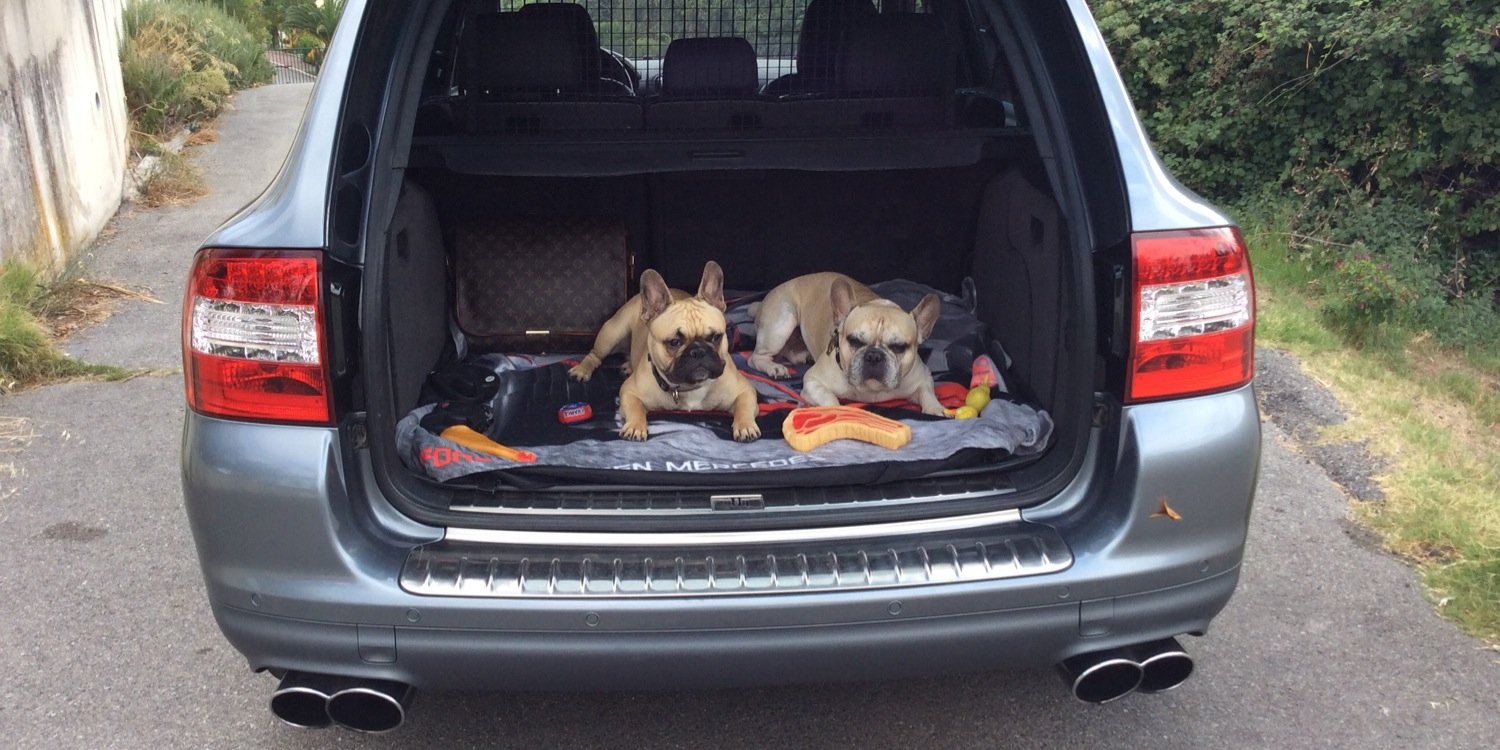 GREGORY LESAMBER banner