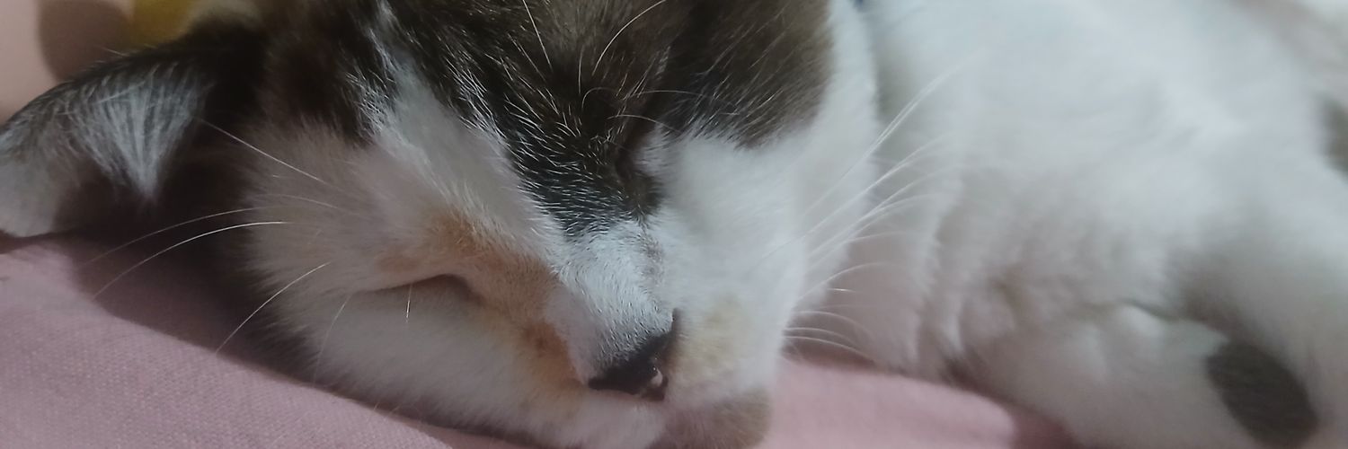 le estrupicio da silva banner