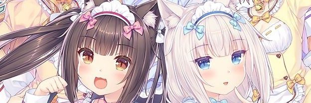 WouterTheDerpCat banner