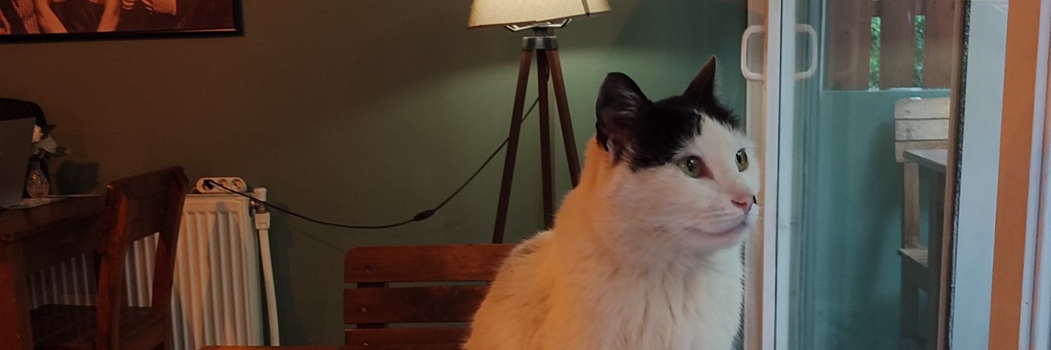 edaatizz's profile banner image