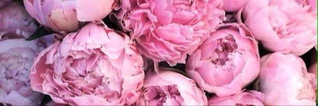 properandpreppy's profile banner image