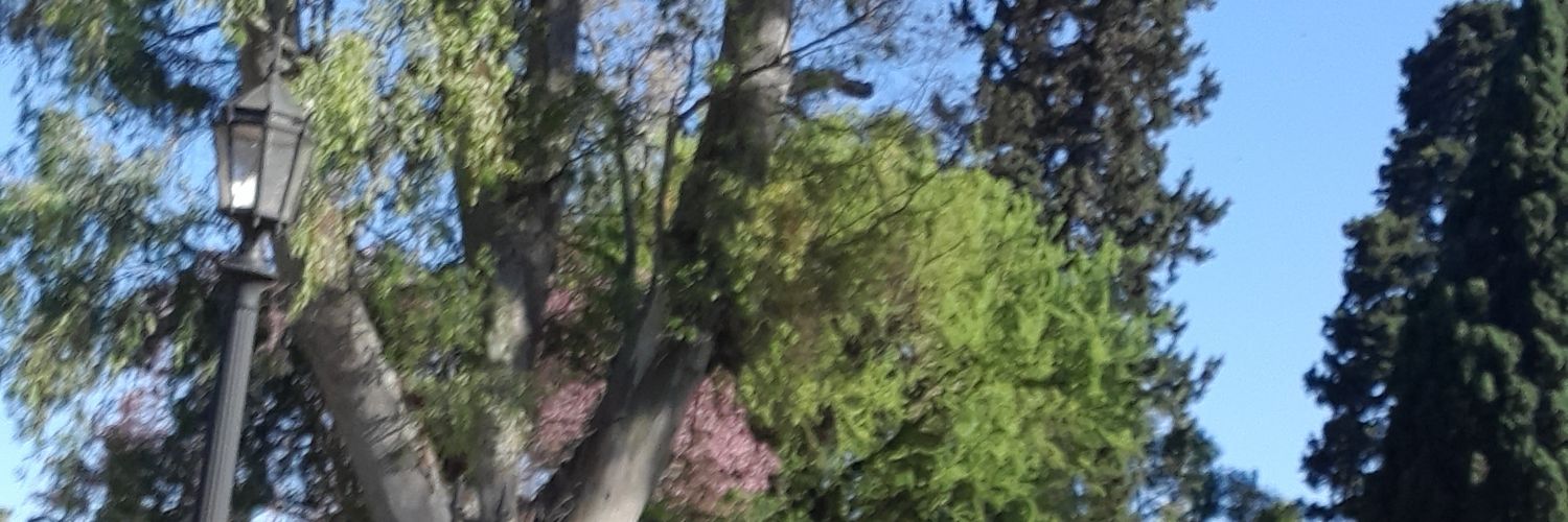 myrlito's profile banner image