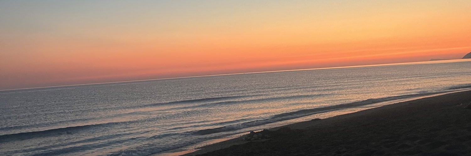 rayofsun☀️ banner