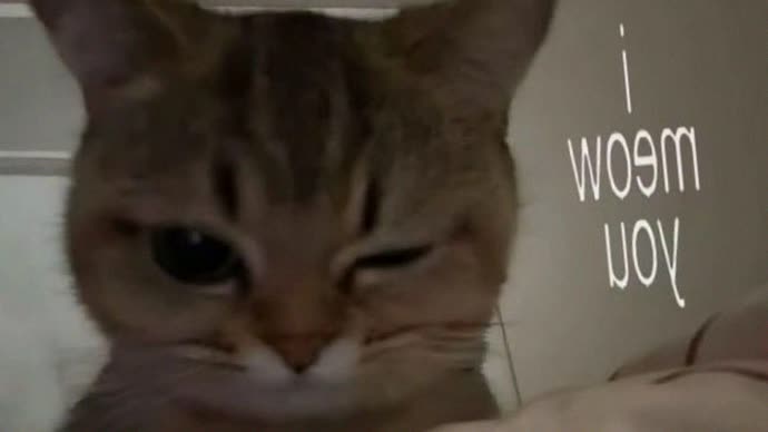 vicepdld1w's profile banner image