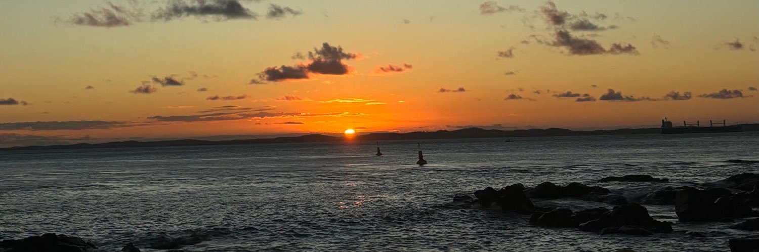 baiano falsificado banner