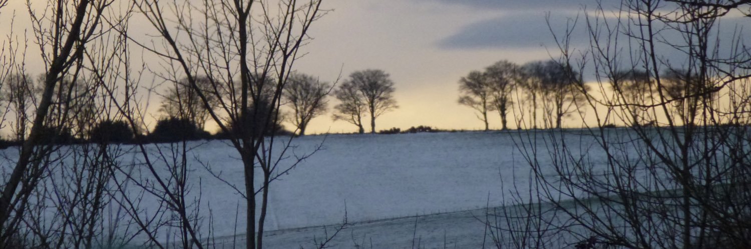 abermino's profile banner image