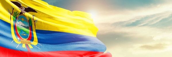 RinoCorral's profile banner image