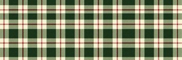 riddlerwithagun Profile Banner