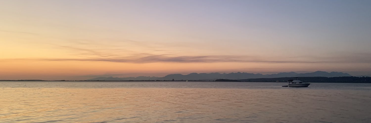 June Rossaert 🌙 banner