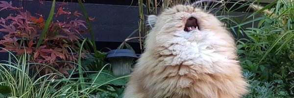 HWTMusic Profile Banner