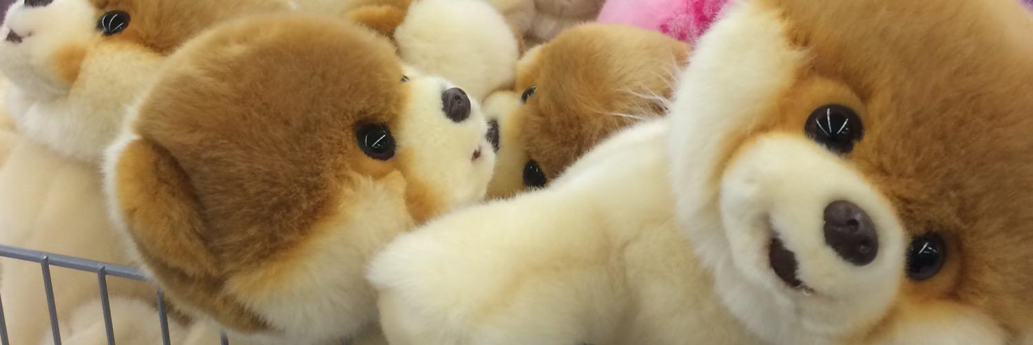 heyjenray's profile banner image