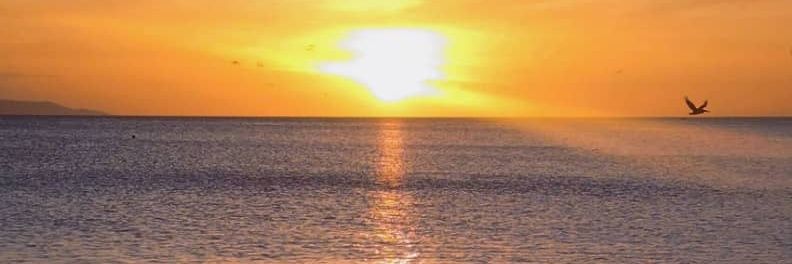 PAJG69104's profile banner image