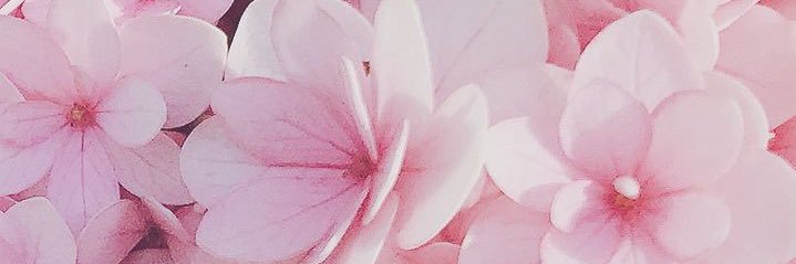 kay's banner