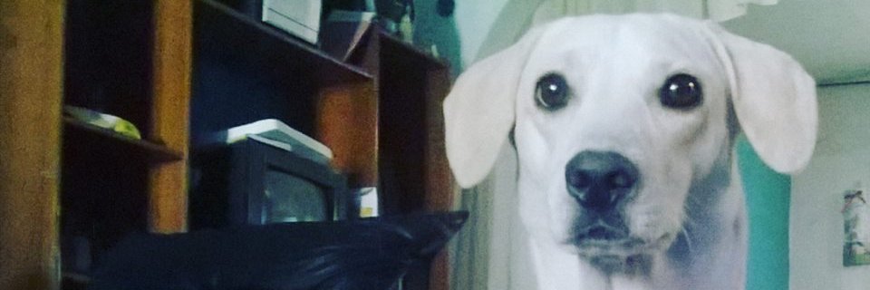 AlneliMF's profile banner image