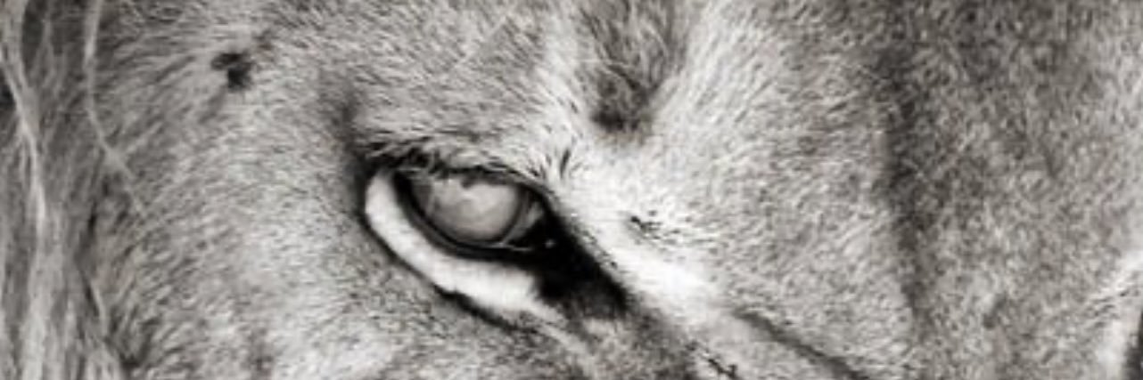 BA2RIA_'s profile banner image
