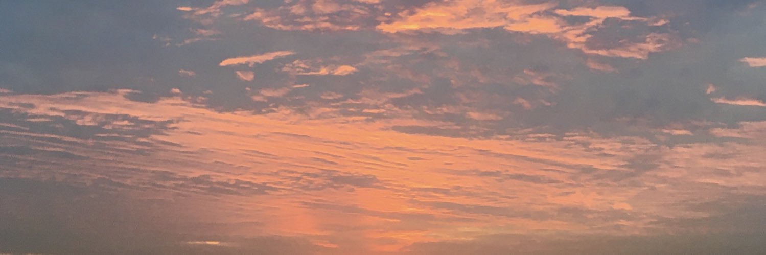 AliceCCR's profile banner image