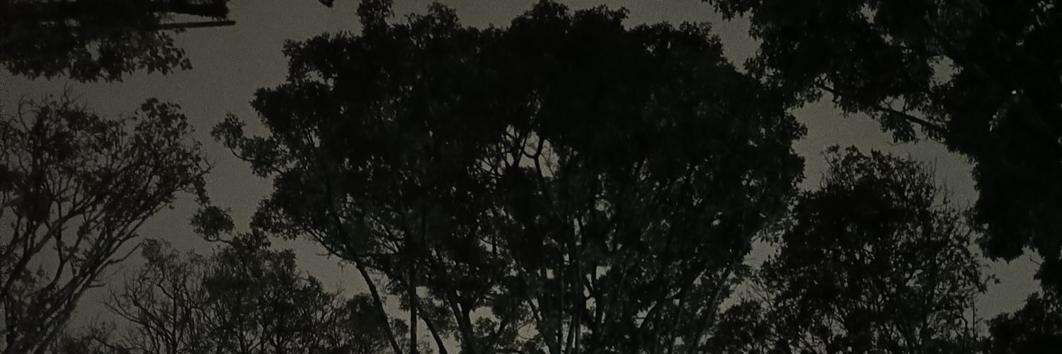 LaurssQ's profile banner image