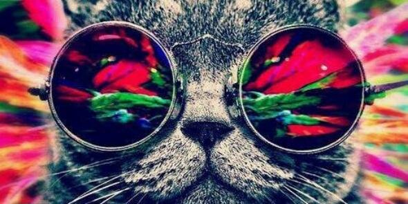 admirolasalsa's profile banner image