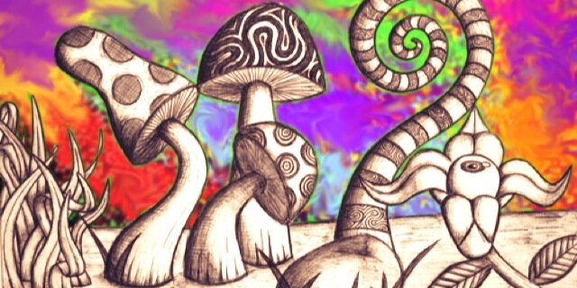 bitchitssydney's profile banner image