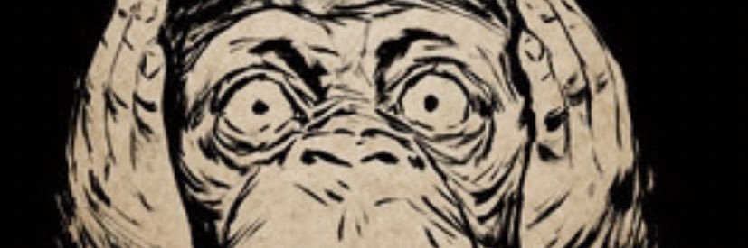 murdamurda314's profile banner image