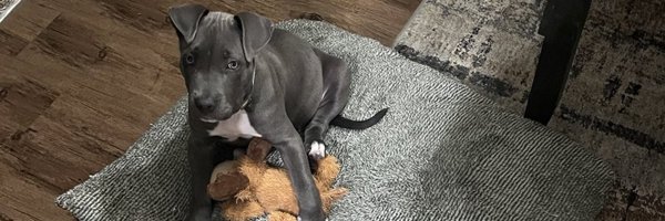JustBeTweeting Profile Banner