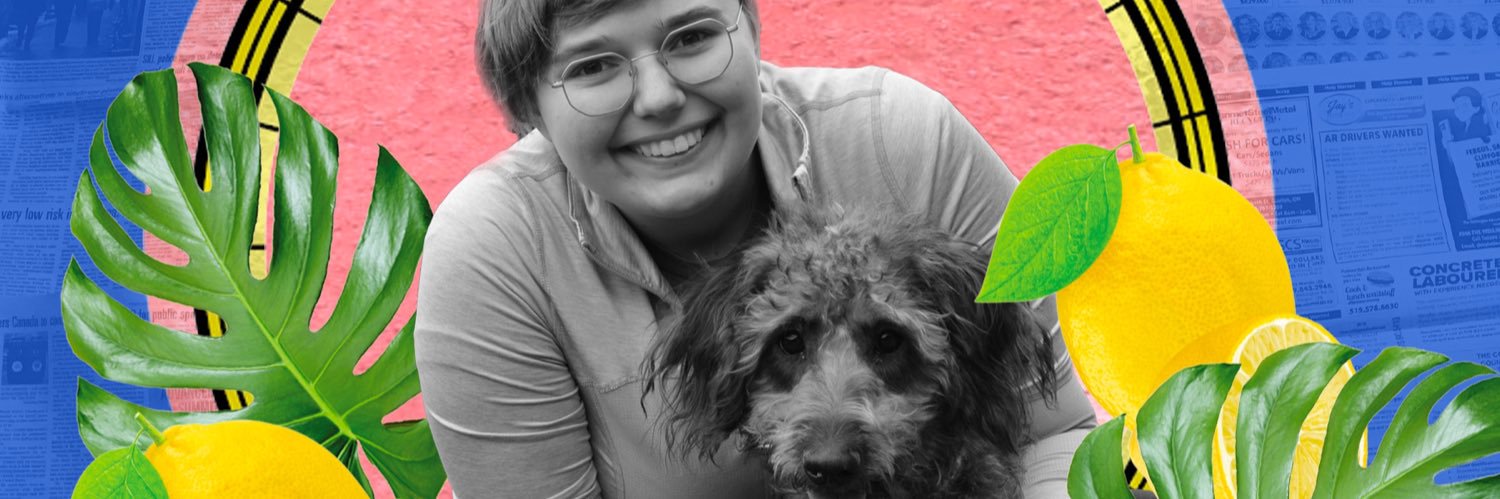 BrooklynSch 🥚💨 banner