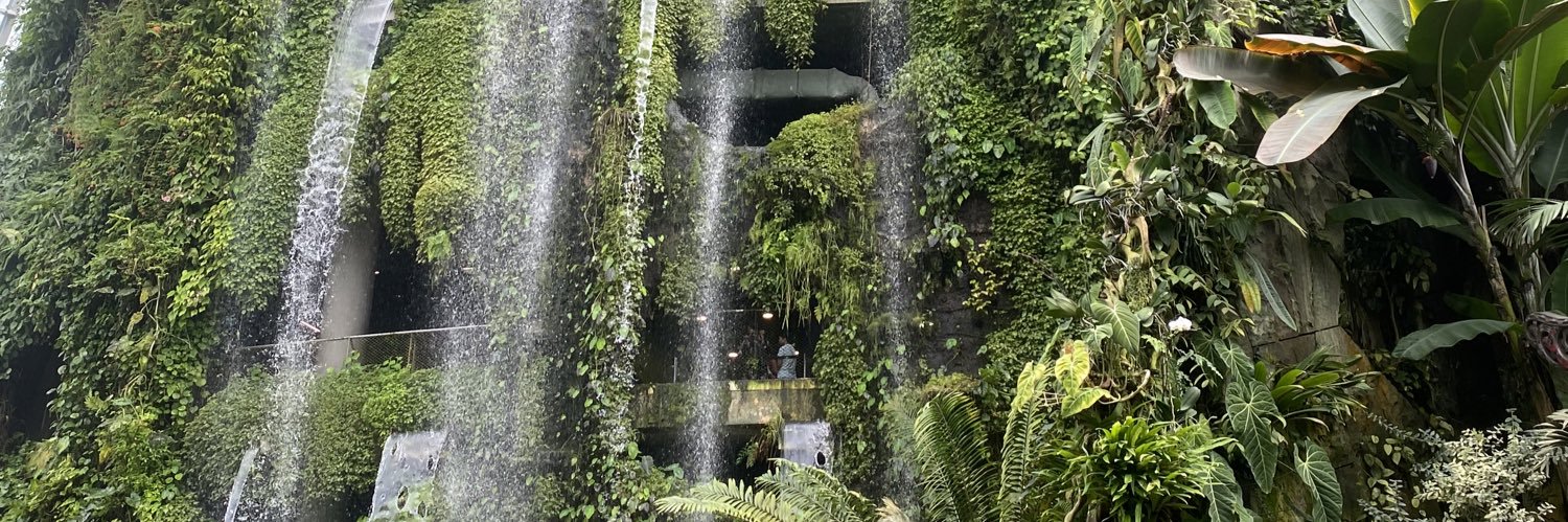 🍑Bé Đào 🍑 banner