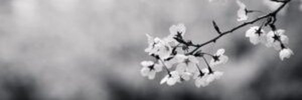 CormacStagg Profile Banner