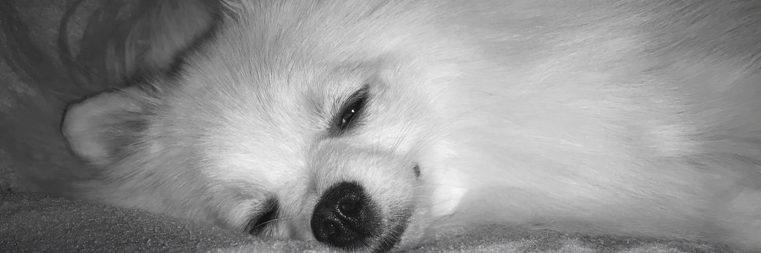 jumarini91's profile banner image
