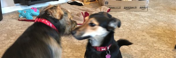 HendrixBT Profile Banner