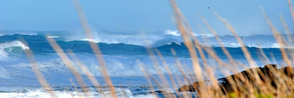 nicanton's profile banner image