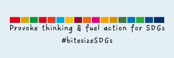 bitesizeSDGs Profile Banner