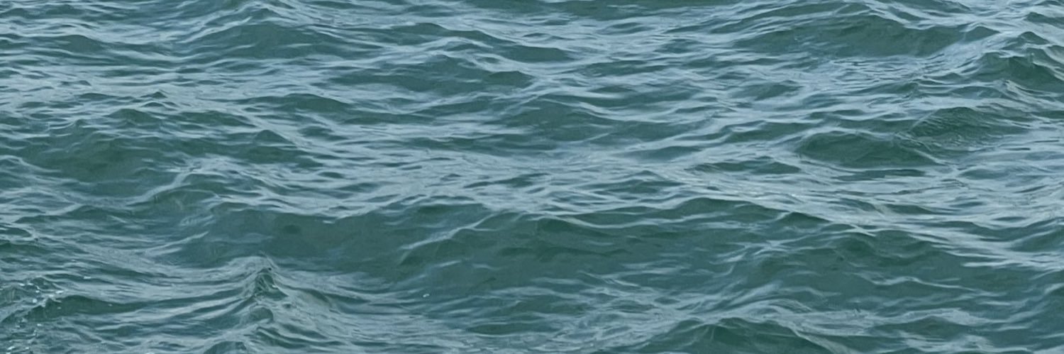 goodmoo die banner
