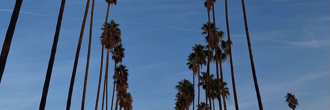 Relentlessnig's profile banner image
